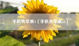 手机壳苹果4（手机壳苹果13）