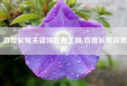 百度长尾关键词挖掘工具(百度长尾词查询)