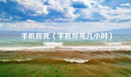 手机猝死（手机猝死几小时）