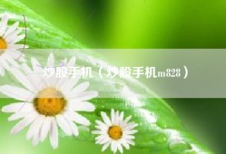 炒股手机（炒股手机m828）