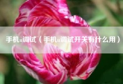 手机u调试（手机u调试开关有什么用）