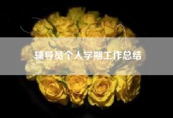 辅导员个人学期工作总结