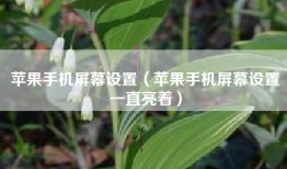 苹果手机屏幕设置（苹果手机屏幕设置一直亮着）