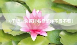 SEO干货，快速排名靠前你不得不看！