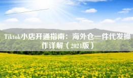 Tiktok小店开通指南：海外仓一件代发操作详解（2024版）