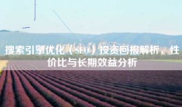 搜索引擎优化（SEO）投资回报解析，性价比与长期效益分析