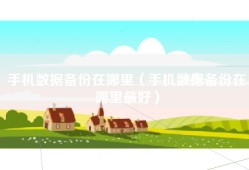 手机数据备份在哪里（手机数据备份在哪里最好）