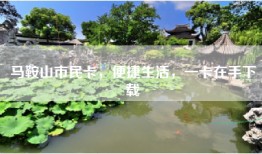 马鞍山市民卡，便捷生活，一卡在手下载