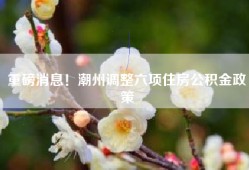 重磅消息！潮州调整六项住房公积金政策
