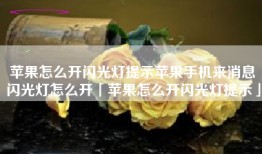 苹果怎么开闪光灯提示苹果手机来消息闪光灯怎么开「苹果怎么开闪光灯提示」