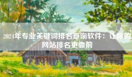 2024年专业关键词排名查询软件：让你的网站排名更靠前