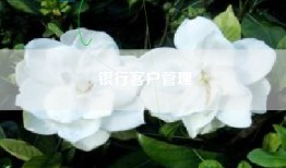 银行客户管理