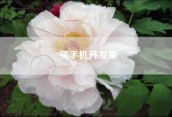 买手机开发票