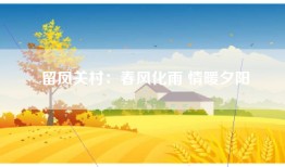 留凤关村：春风化雨 情暖夕阳