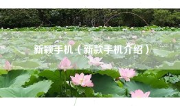 新颖手机（新款手机介绍）
