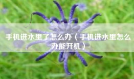 手机进水里了怎么办（手机进水里怎么办能开机）