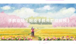 手机皮贴（贴皮手机壳教程视频）