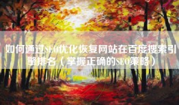 如何通过SEO优化恢复网站在百度搜索引擎排名（掌握正确的SEO策略）