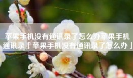 苹果手机没有通讯录了怎么办苹果手机通讯录「苹果手机没有通讯录了怎么办」