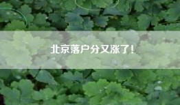 北京落户分又涨了！
