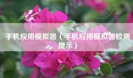手机应用模拟器（手机应用模拟器检测提示）