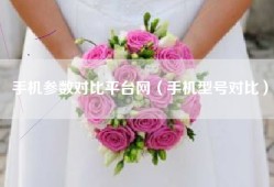 手机参数对比平台网（手机型号对比）