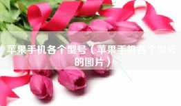 苹果手机各个型号（苹果手机各个型号的图片）