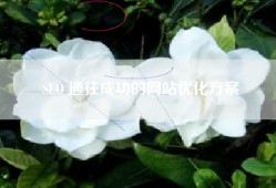SEO 通往成功的网站优化方案