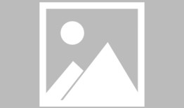 Coinbase Ventures   Animoca Brands（早期投资过$BERA $TON）等强势跟投