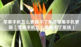 苹果手机怎么更新不了系统苹果手机更新「苹果手机怎么更新不了系统」