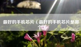 最好的手机芯片（最好的手机芯片是哪个）