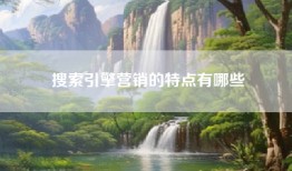 搜索引擎营销的特点有哪些