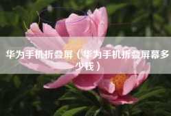 华为手机折叠屏（华为手机折叠屏幕多少钱）