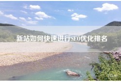 新站如何快速进行SEO优化排名