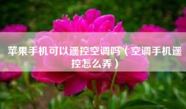 苹果手机可以遥控空调吗（空调手机遥控怎么弄）