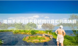 温州关键词排名超越同行背后的市场洞察