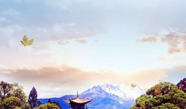 嘉兴到临沧货运专线搬家搬厂2024讲信誉+排名一览