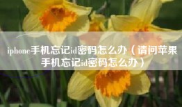 iphone手机忘记id密码怎么办（请问苹果手机忘记id密码怎么办）