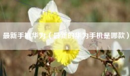 最新手机华为（最新的华为手机是哪款）