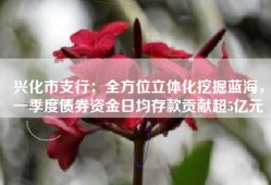 兴化市支行：全方位立体化挖掘蓝海，一季度债券资金日均存款贡献超5亿元