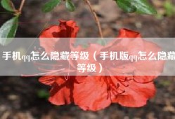 手机qq怎么隐藏等级（手机版qq怎么隐藏等级）