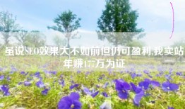 虽说SEO效果大不如前但仍可盈利,我卖站年赚177万为证