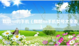 麒麟960的手机（麒麟960手机型号大全表）