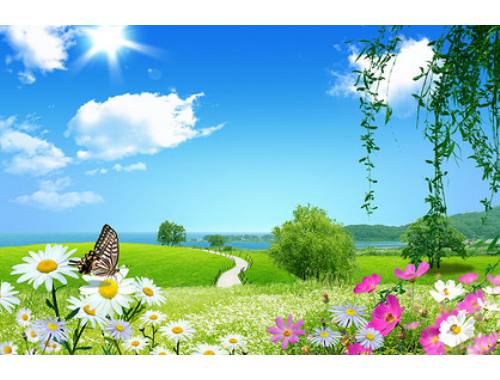 专家答疑│婚后一直不怀孕？丈夫？妻子？谁的原因？