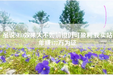 虽说SEO效果大不如前但仍可盈利,我卖站年赚177万为证
