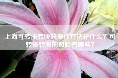 上海可转债转股的操作方法是什么？可转债转股的风险有哪些？