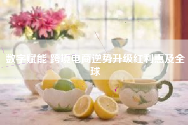 数字赋能 跨境电商逆势升级红利惠及全球