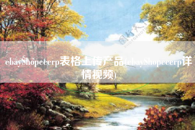 ebayShopeeerp表格上传产品(ebayShopeeerp详情视频)
