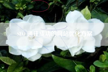 SEO 通往成功的网站优化方案