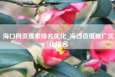 海口网页搜索排名优化_海口百度推广优化排名